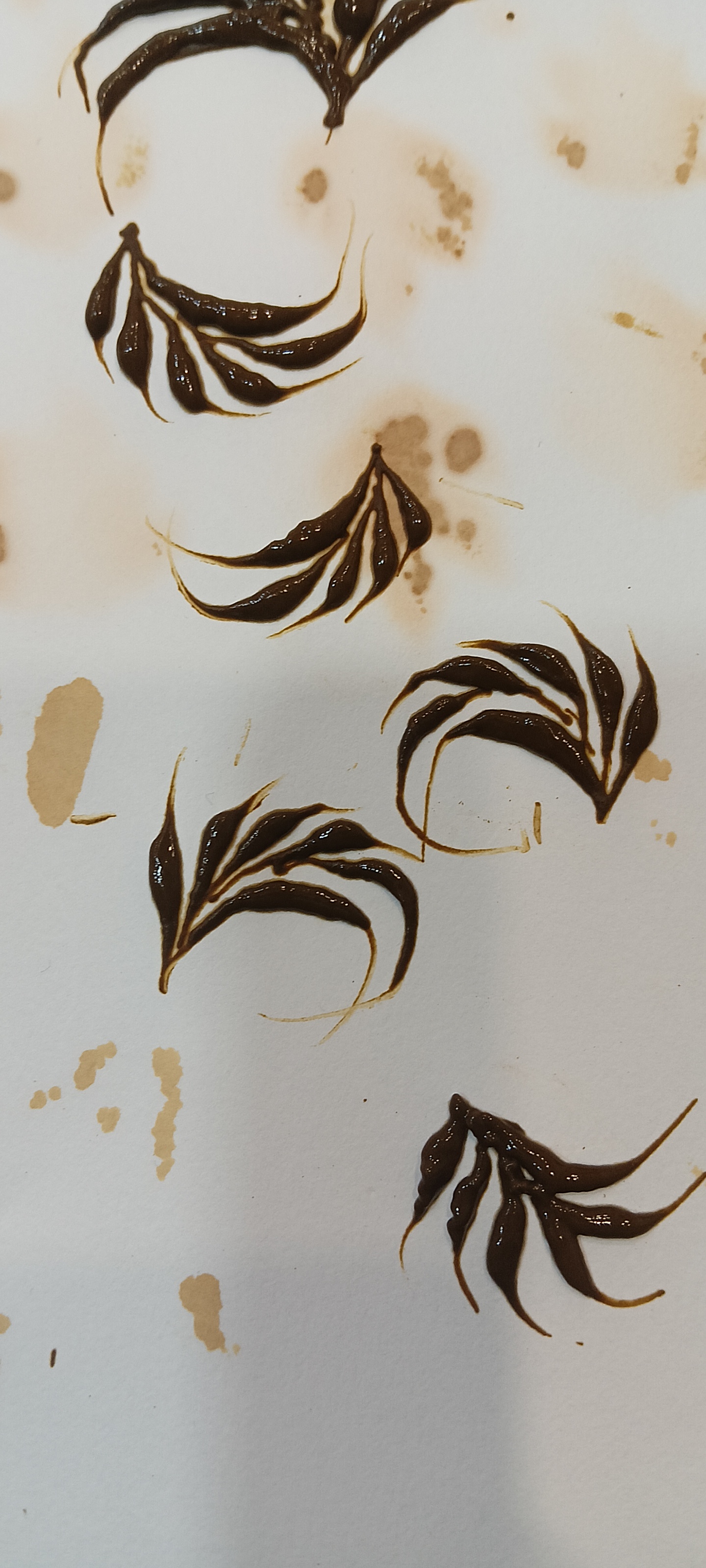 Portfolio 20