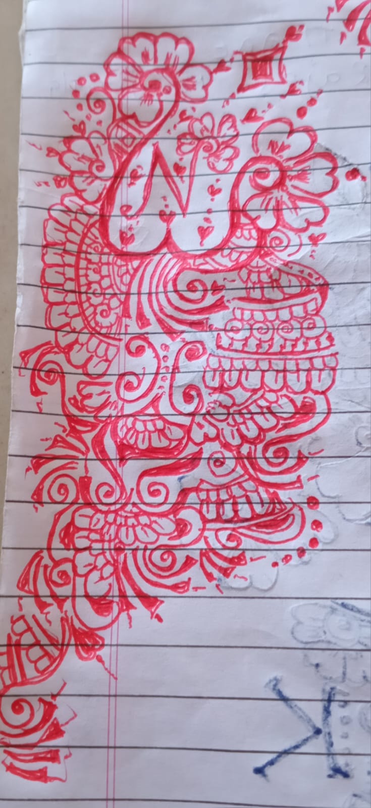 Portfolio 5