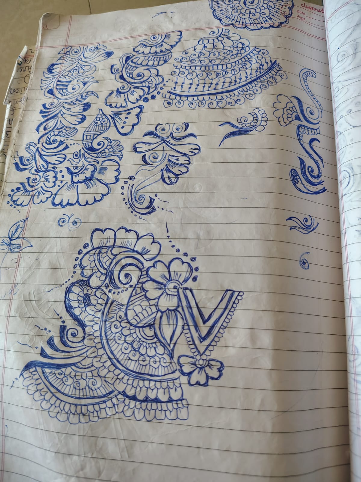 Portfolio 15