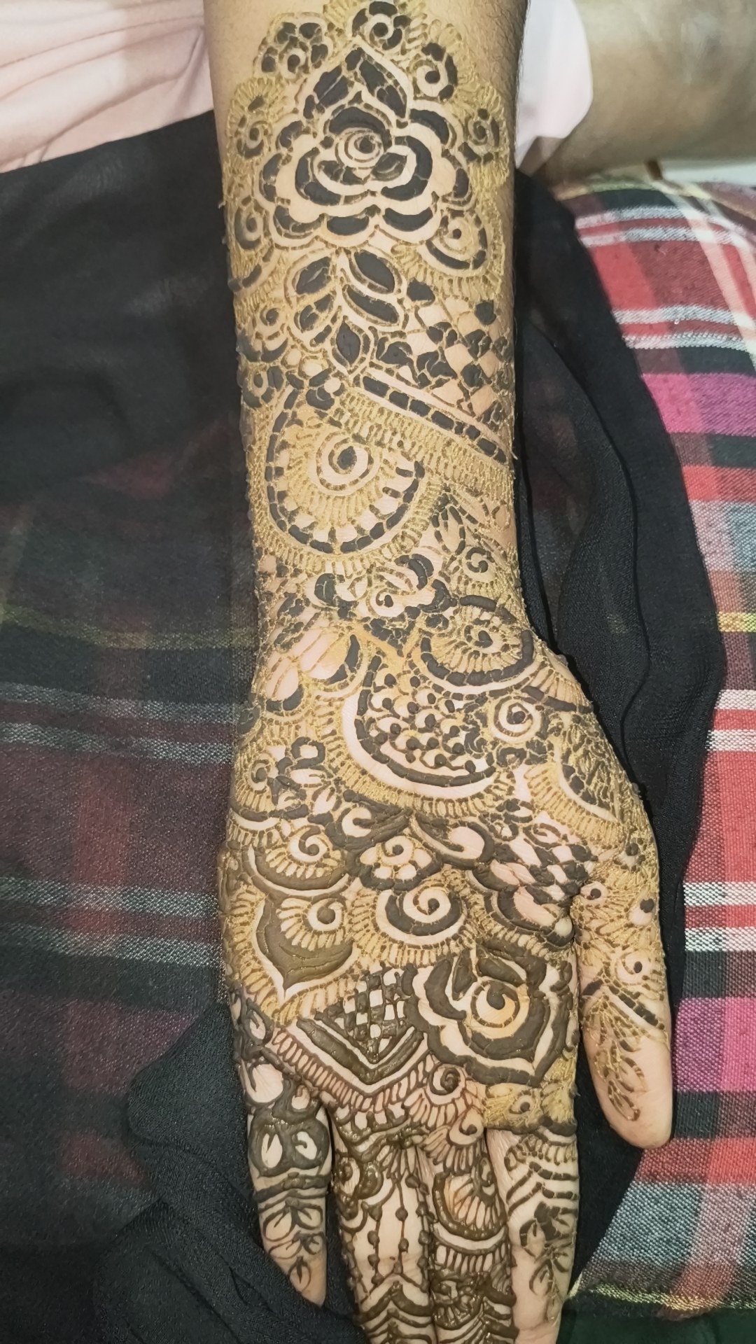 Portfolio 15