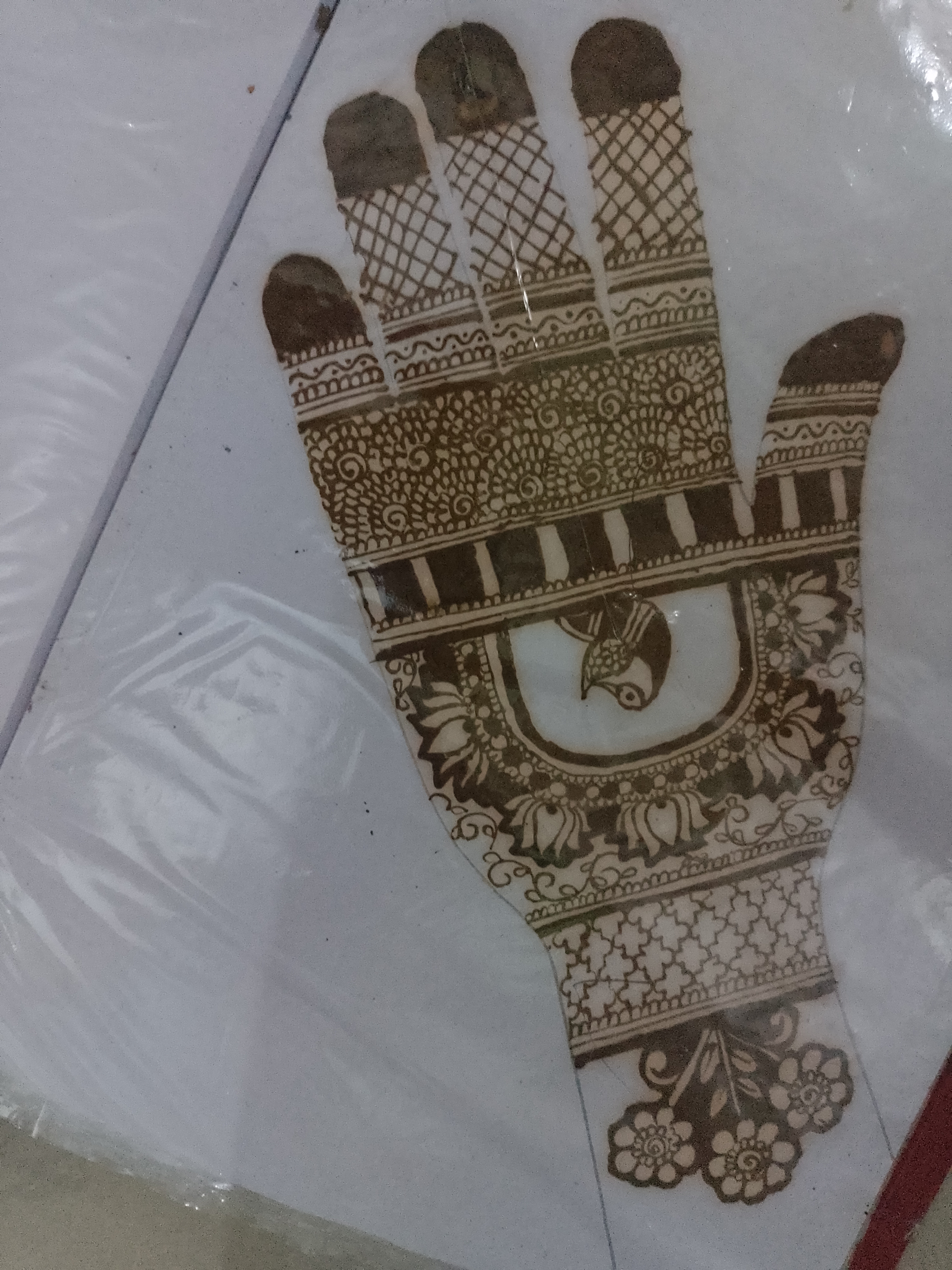 Portfolio 15